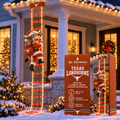 TLS Animated Climbing Ladder Christmas Decoration BMD