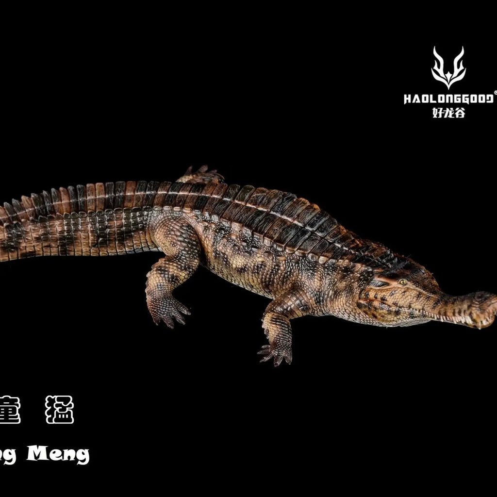 Haolonggood Sarcosuchus Imperator Early Cretaceous Ancient Crocodile Extinction Of Animals Toy Figurine Model Collection 1/35